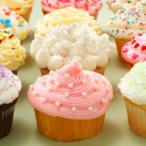 iStock_000016438262XSmall